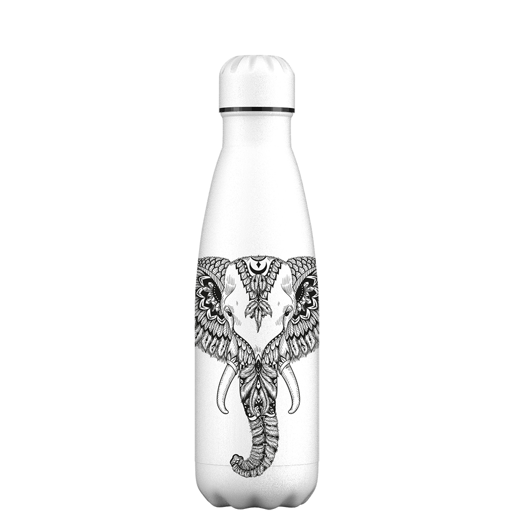 Aztec Water Bottle