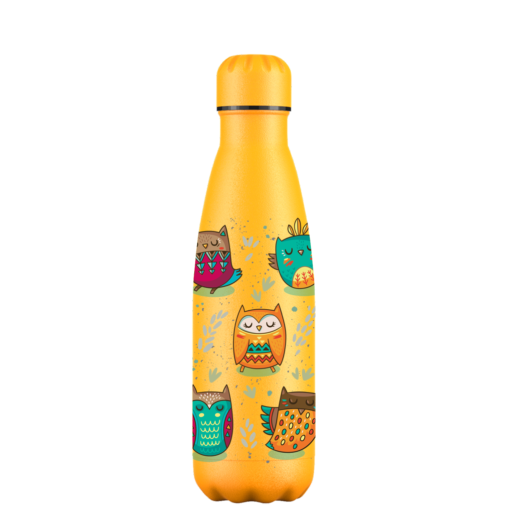 How Big Is a 500ml Water Bottle? Size, Dimensions and Everyday Fit in 2026