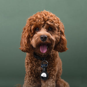 Estuche de transporte con llavero de cuero PU Apple AirTag