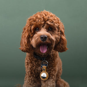 Estuche de transporte con llavero de cuero PU Apple AirTag