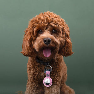 Estuche de transporte con llavero de cuero PU Apple AirTag