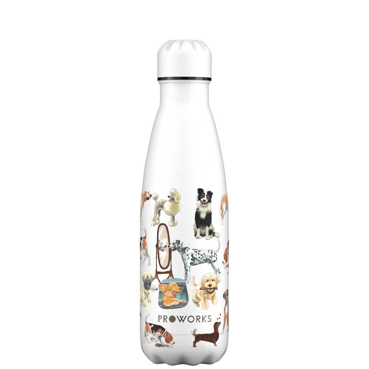 Leakproof 500ml Water Bottle Guide