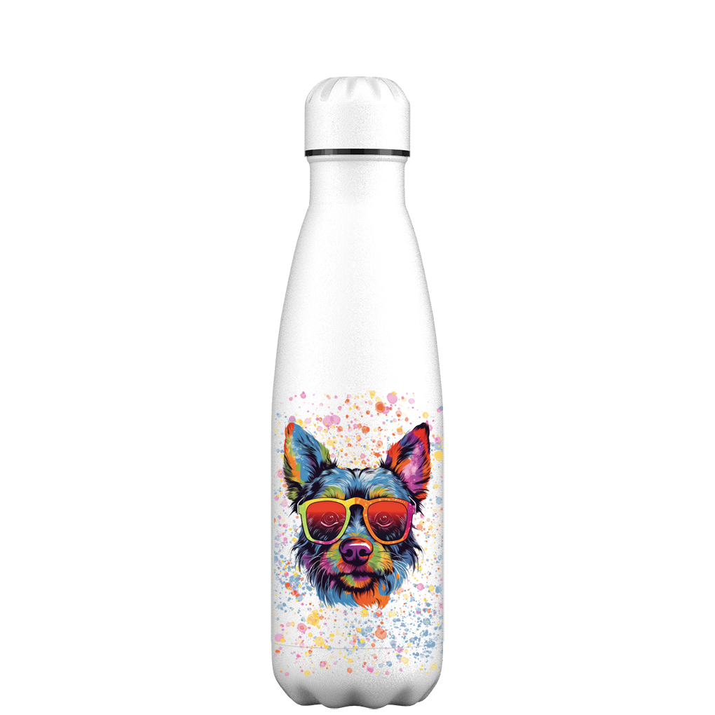 Which Dog Water Bottle is Best for a Staycation?