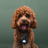 Apple AirTag PU Leather Keyring Carry Case