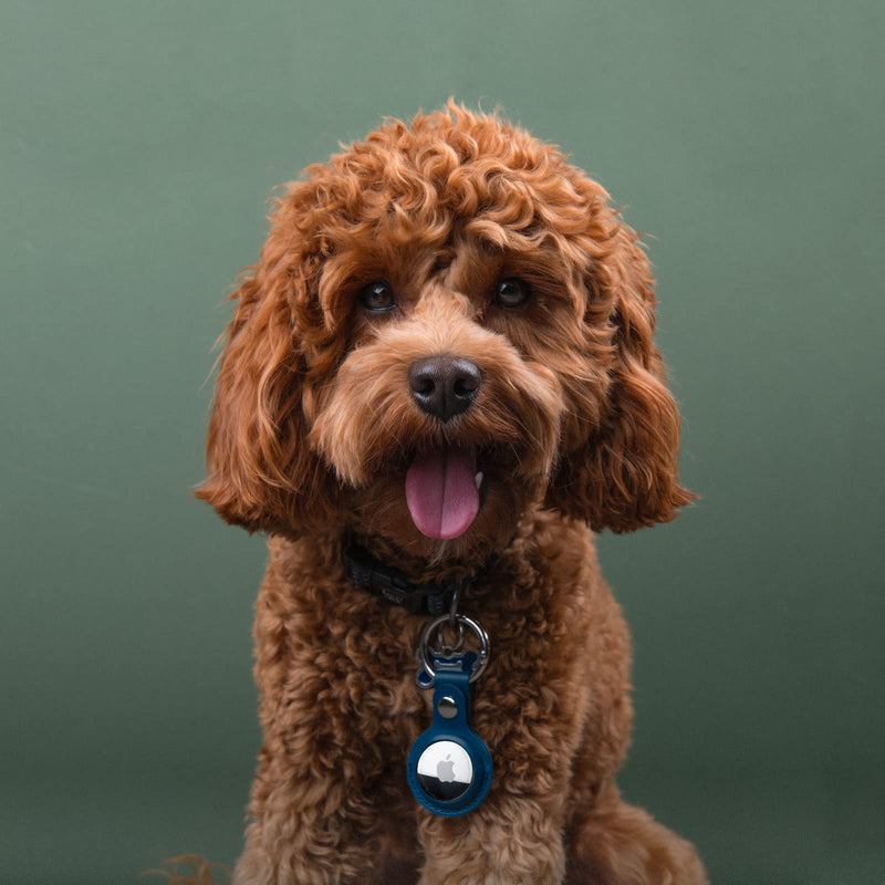 Apple AirTag PU Leather Keyring Carry Case