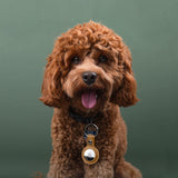 Apple AirTag PU Leather Keyring Carry Case