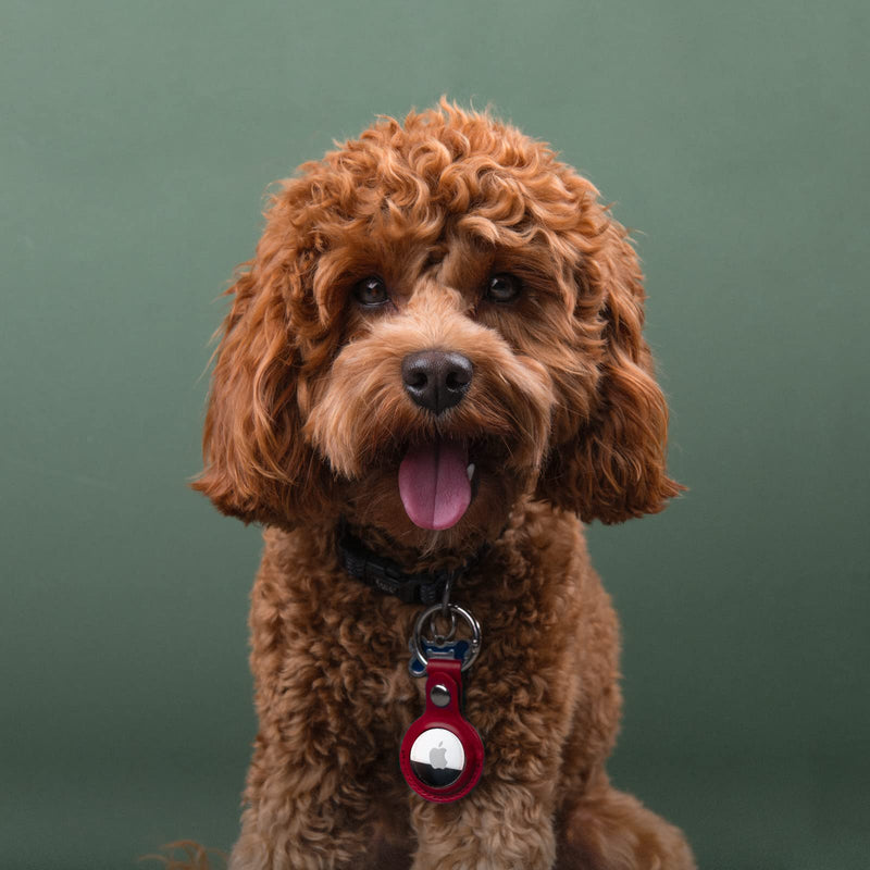 Apple AirTag PU Leather Keyring Carry Case