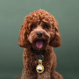 Apple AirTag PU Leather Keyring Carry Case