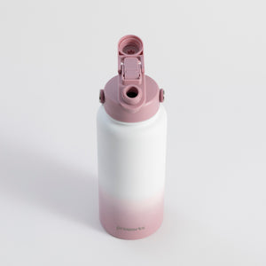 Switch 1L Water Bottle with Straw – Aurora Blush Ombre