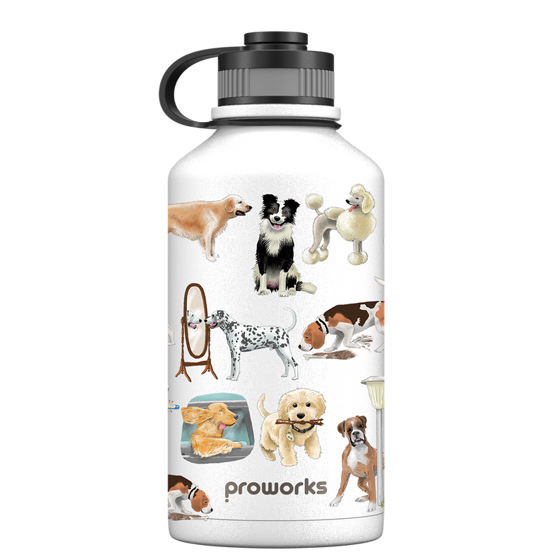 2l water bottle - white