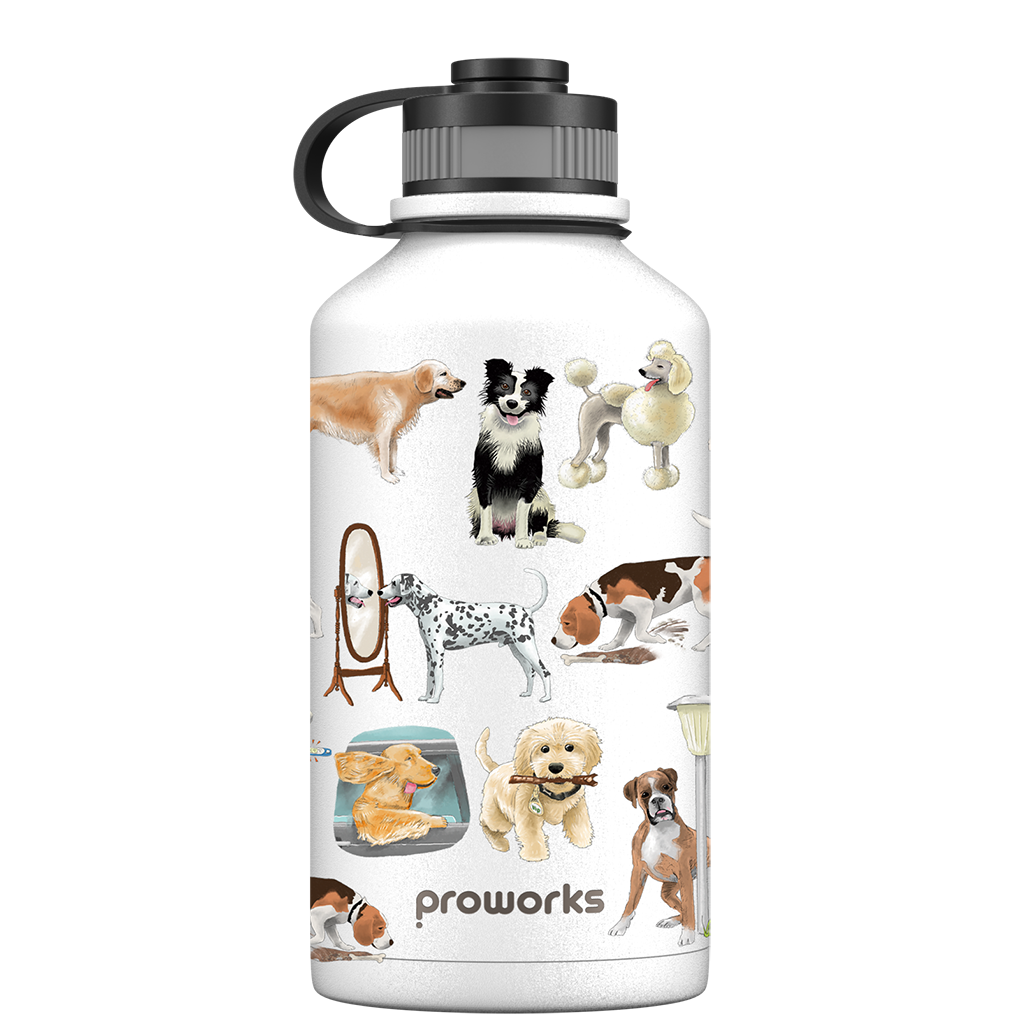 2l water bottle - white
