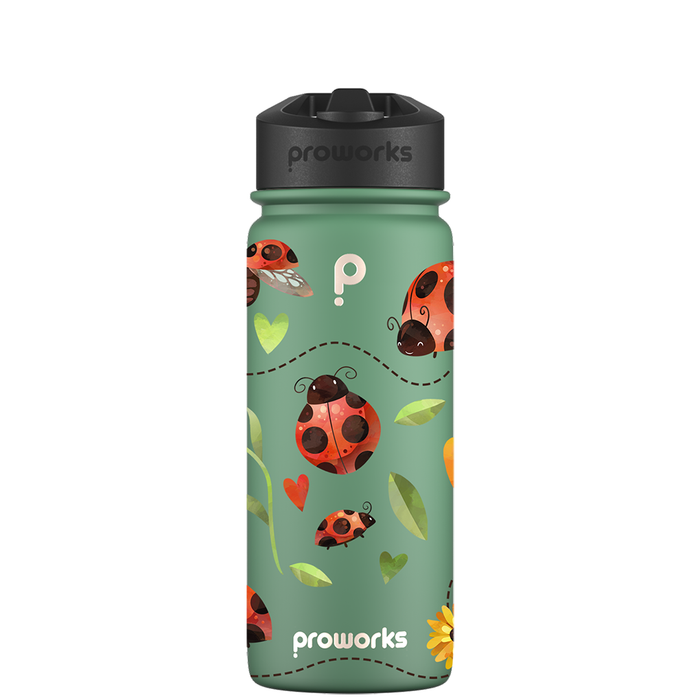 Water bottle with straw - Gen 2 Ladybird Pattern