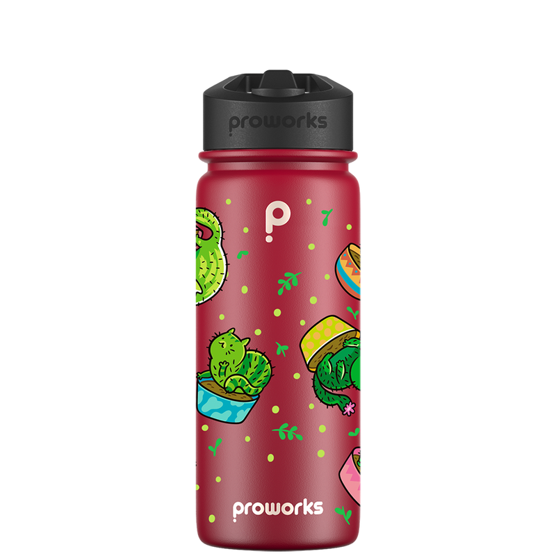 Wasserflasche mit Strohhalm – Gen 2 Catcus Pattern