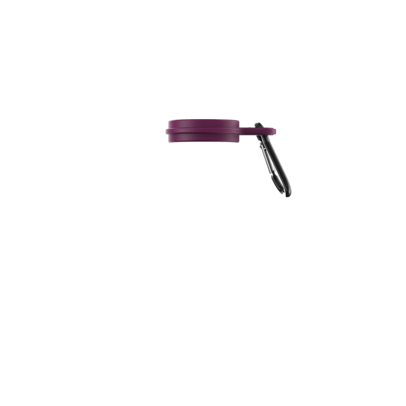 Organic Grape 350ml Carabiner