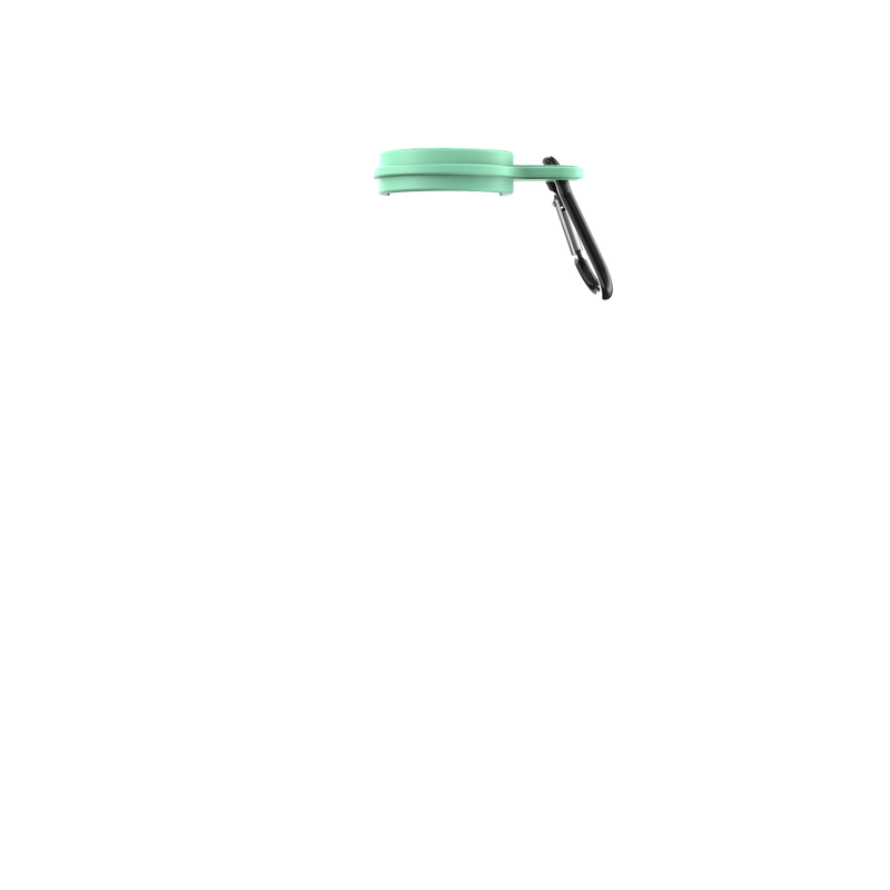 Neo Mint 750ml Carabiner