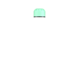 Neo Mint 500ml Lid