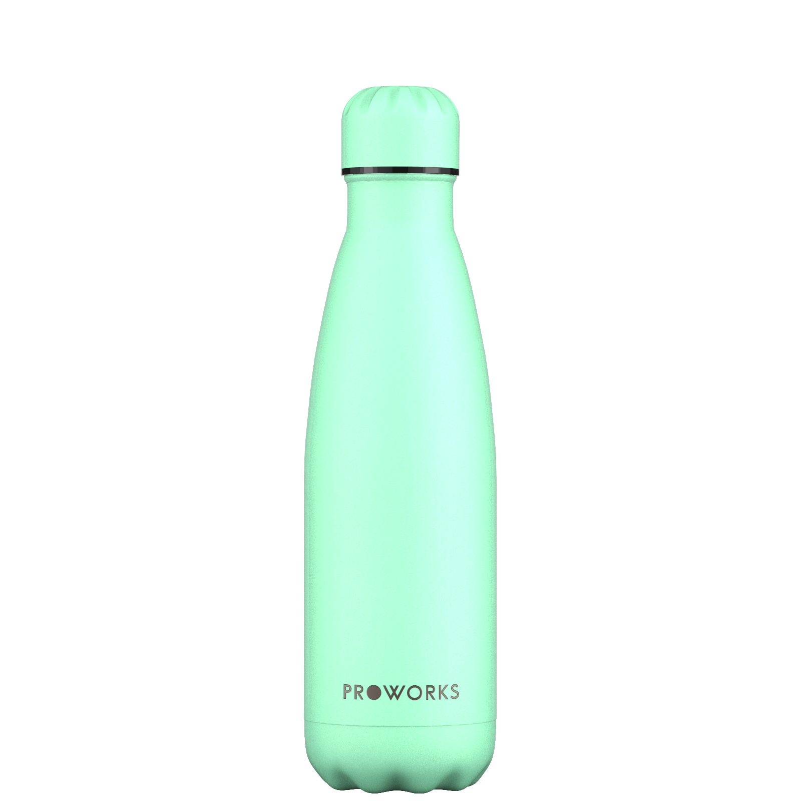 Proworks Neo Mint 500ml Water Bottle