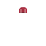 Organic Grape 350ml Lid
