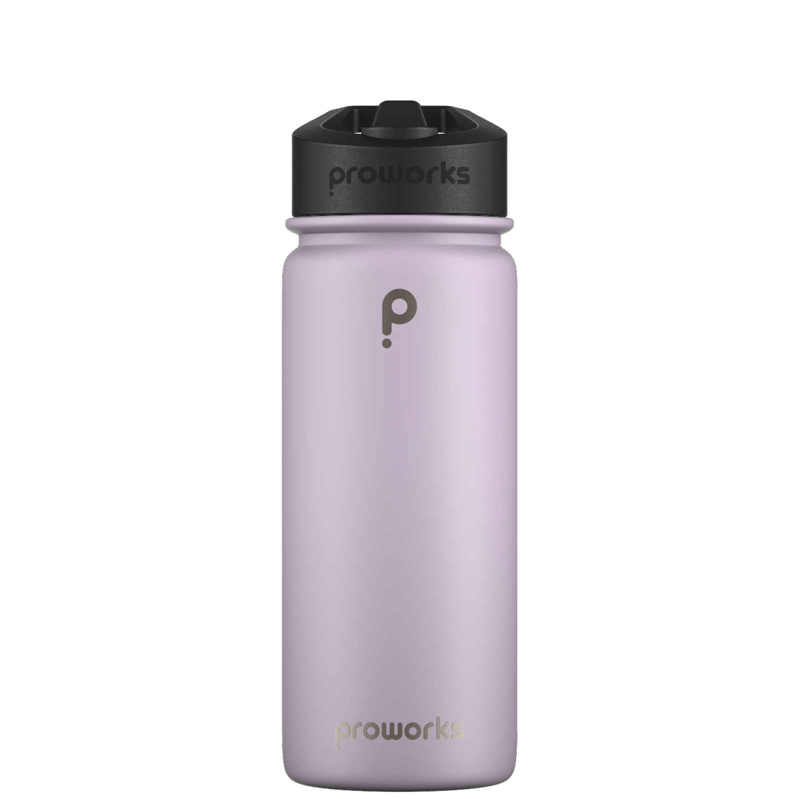 Water Bottle with Straw - Proworks Bottles